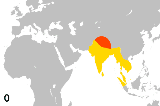 Image:Religion spread animation slow.gif